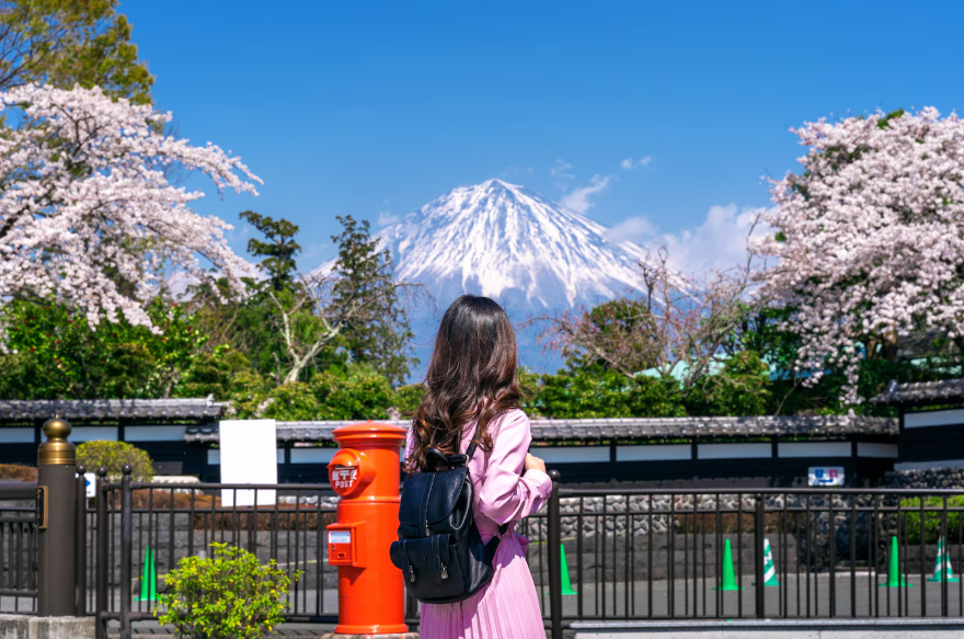 Traveler at Mount Fuji during cherry blossom season, illustrating booming travel destinations in 2026